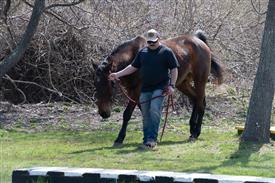 LR-WRF 0402026 Retreat-3412